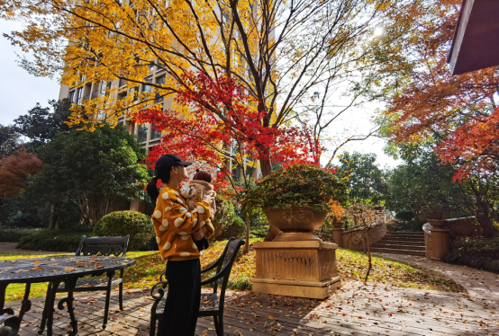 1608002943529763khja.png image.png