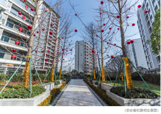 1641984892656858wWpz.png image.png