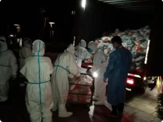 16540457613317044TK9.png image.png